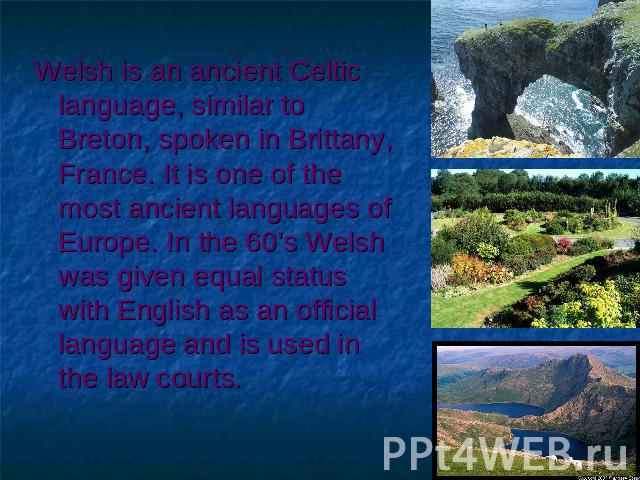 Welsh is an ancient Celtic language, similar to Breton, spoken in Brittany, France. It is one of the most ancient languages of Europe. In the 60’s Welsh was given equal status with English as an official language and is used in the law courts.
