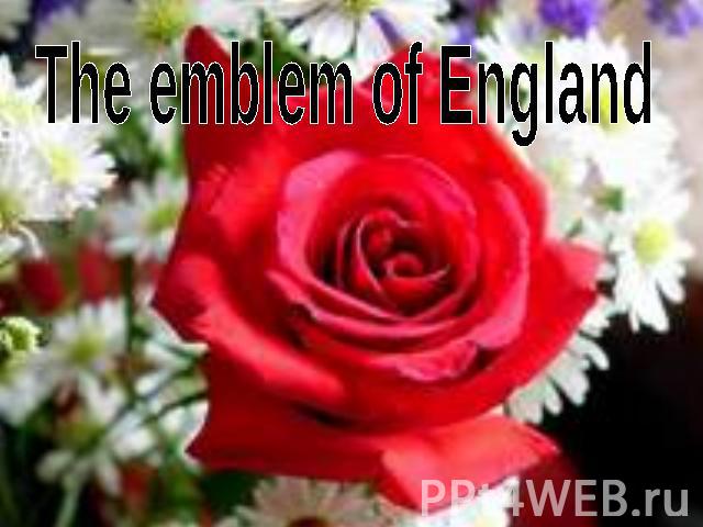 The emblem of England