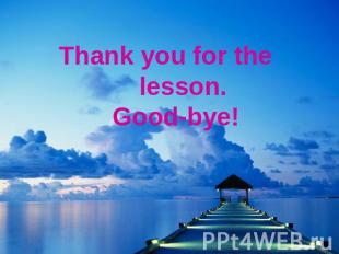 Thank you for the lesson. Good-bye!