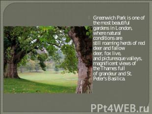 Greenwich Park is one of the most beautiful gardens in London, where natural con