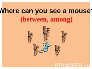 Where can you see a mouse?(between, among)