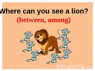 Where can you see a lion?(between, among)