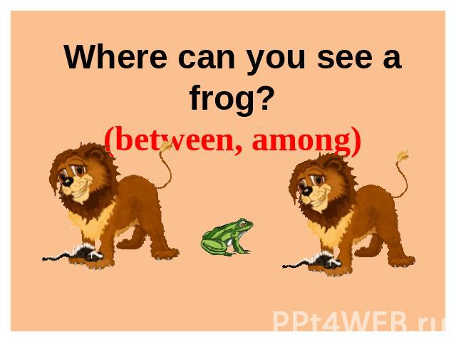 Where can you see a frog?(between, among)