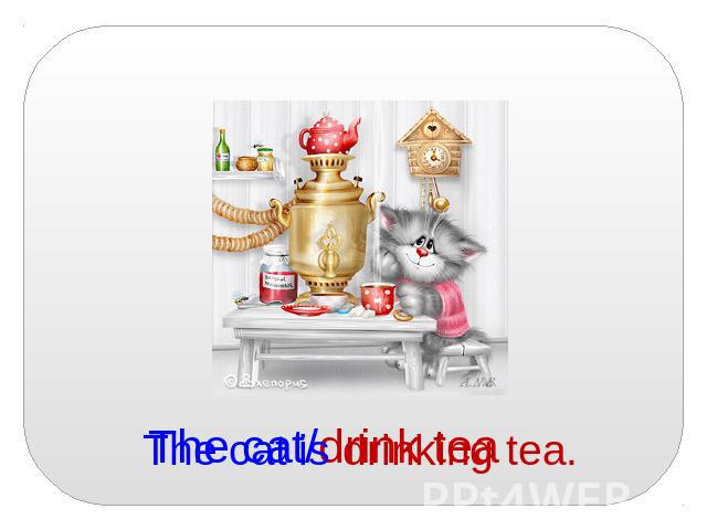 The cat is drinking tea.
