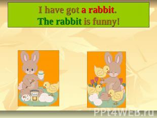 I have got a rabbit. The rabbit is funny!