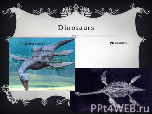 Dinosaurs Plesiosaurus