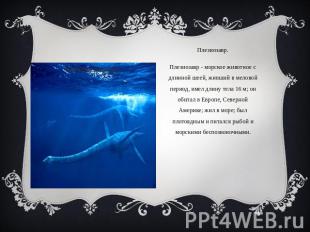 Плезиозавр.Плезиозавр - морское животное с длинной шеей, живший в меловой период