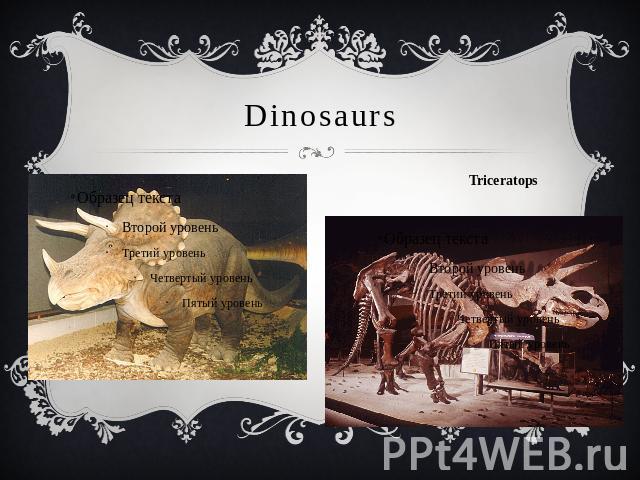 DinosaursTriceratops