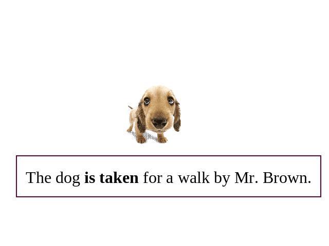 The dog is taken for a walk by Mr. Brown.
