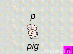 p pig