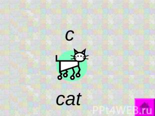 c cat