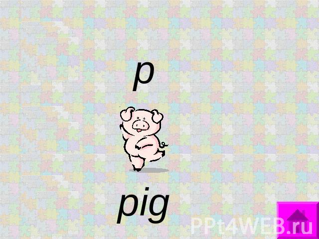 p pig