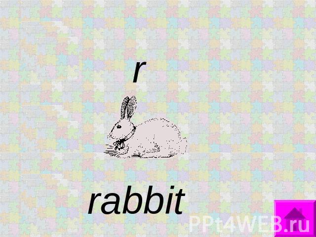 r rabbit