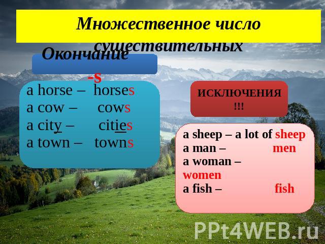 Множественное число существительных a horse – horses a cow – cowsa city – citiesa town – towns Окончание -s ИСКЛЮЧЕНИЯ!!! a sheep – a lot of sheepa man – mena woman – women a fish – fish