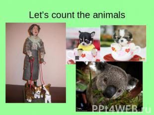 Let’s count the animals