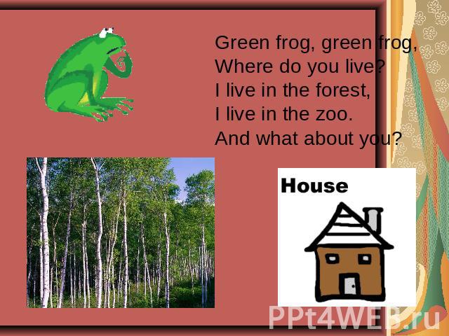 Green frog, green frog,Where do you live?I live in the forest, I live in the zoo.And what about you?