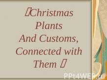 Christmas Plants And Customs, Connected with Them