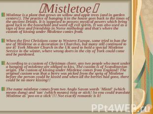 Mistletoe Mistletoe is a plant that grows on willow and apple trees (and in gard