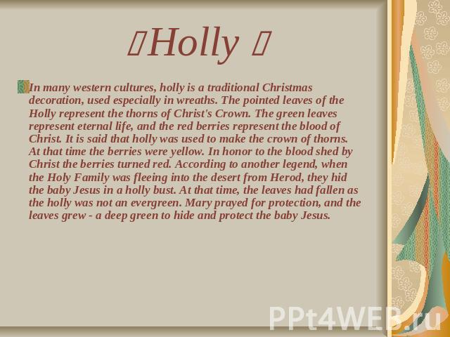Holly In many western cultures, holly is a traditional Christmas decoration, used especially in wreaths. The pointed leaves of the Holly represent the thorns of Christ's Crown. The green leaves represent eternal life, and the red berries represent t…