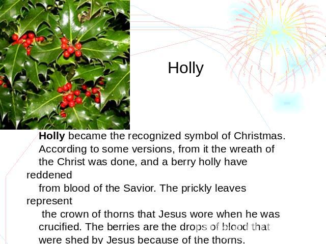 Holly Holly became the recognized symbol of Christmas. According to some versions, from it the wreath of the Christ was done, and a berry holly have reddened from blood of the Savior. The prickly leaves represent the crown of thorns that Jesus wore …