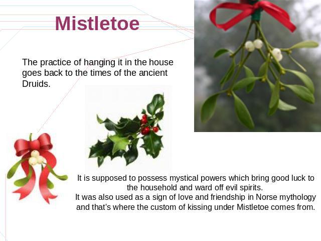 Mistletoe The practice of hanging it in the house goes back to the times of the ancient Druids. It is supposed to possess mystical powers which bring good luck to the household and ward off evil spirits. It was also used as a sign of love and friend…
