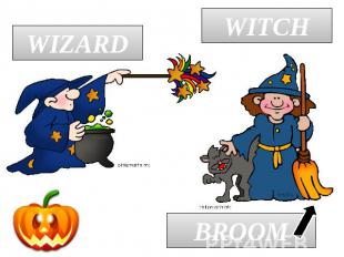 WIZARD WITCH BROOM