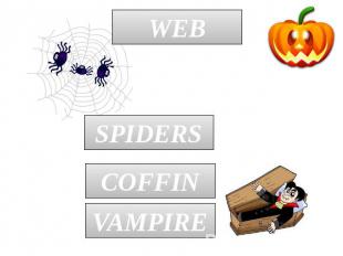WEB SPIDERS COFFIN VAMPIRE