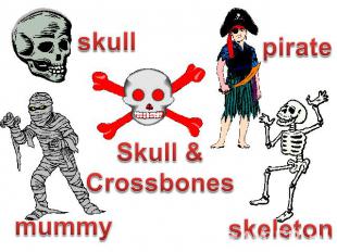 skull pirate Skull &Crossbones mummy skeleton
