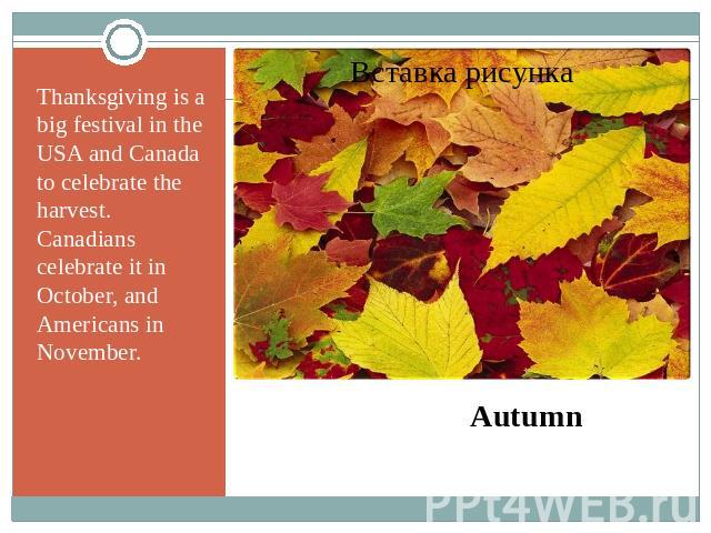 Thanksgiving is a big festival in the USA and Canada to celebrate the harvest. Canadians celebrate it in October, and Americans in November. Autumn