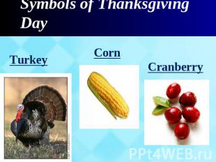 Symbols of Thanksgiving Day Turkey Corn Cranberry