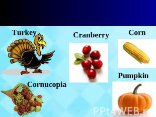 Turkey Cranberry Corn Cornucopia Pumpkin