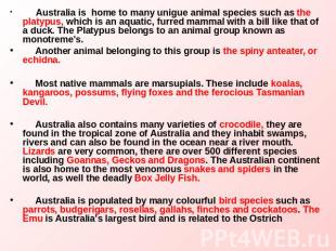 Australia is home to many unigue animal species such as the platypus, which is a