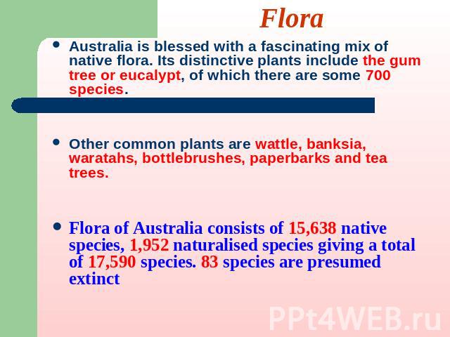 Flora Australia is blessed with a fascinating mix of native flora. Its distinctive plants include the gum tree or eucalypt, of which there are some 700 species. Other common plants are wattle, banksia, waratahs, bottlebrushes, paperbarks and tea tre…