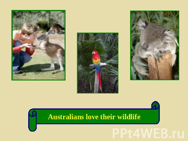 Australians love their wildlife