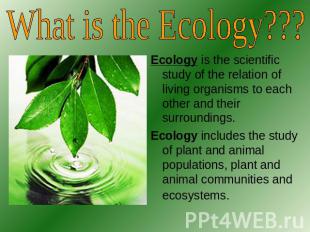 What is the Ecology??? Ecology is the scientific study of the relation of living