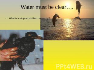 Water must be clear…. What is ecological problem caused by?