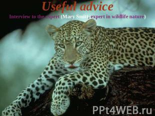 Useful adviceInterview to the expert (Mary Smitt, expert in wildlife nature)