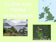 Flora and fauna of the British Isles