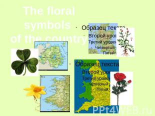 The floral symbols of the country
