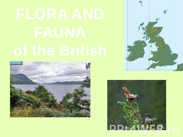 Flora and fauna of the British Isles