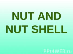 NUT AND NUT SHELL