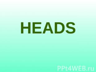 HEADS