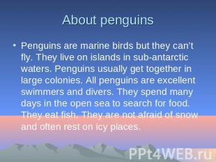 About penguins Penguins are marine birds but they can’t fly. They live on island