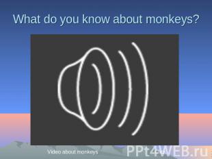 What do you know about monkeys?