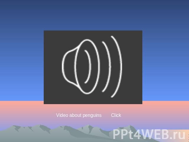Video about penguins Click