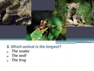 5. Which animal is the longest?The snakeThe wolfThe frog