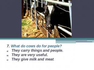 7. What do cows do for people?They carry things and people.They are very useful.