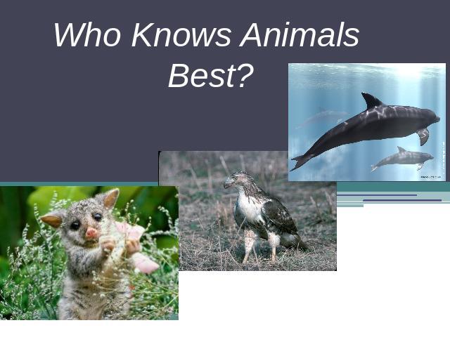 Who Knows Animals Best?