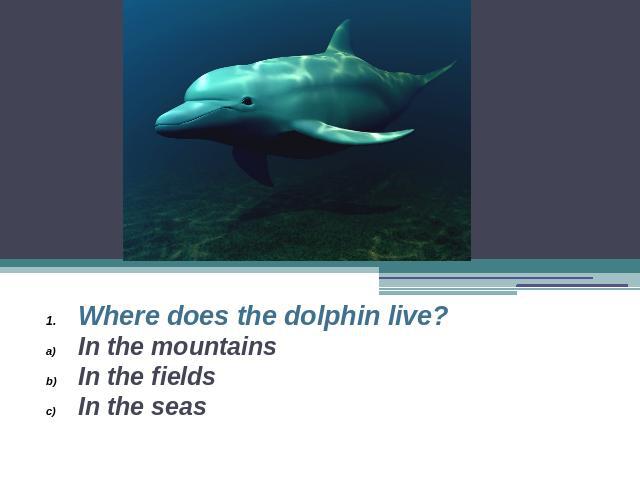 Where does the dolphin live?In the mountainsIn the fieldsIn the seas