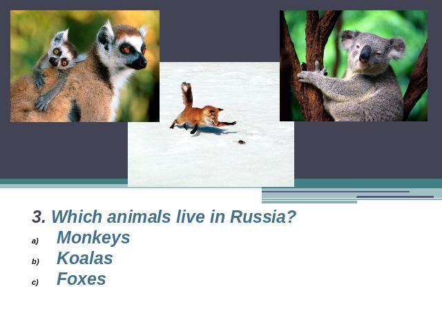 3. Which animals live in Russia?MonkeysKoalasFoxes